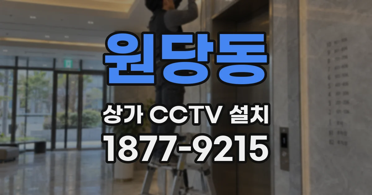 원당동 상가 CCTV 설치