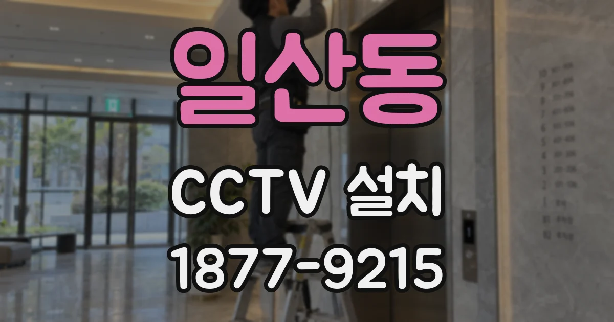일산동 CCTV 설치