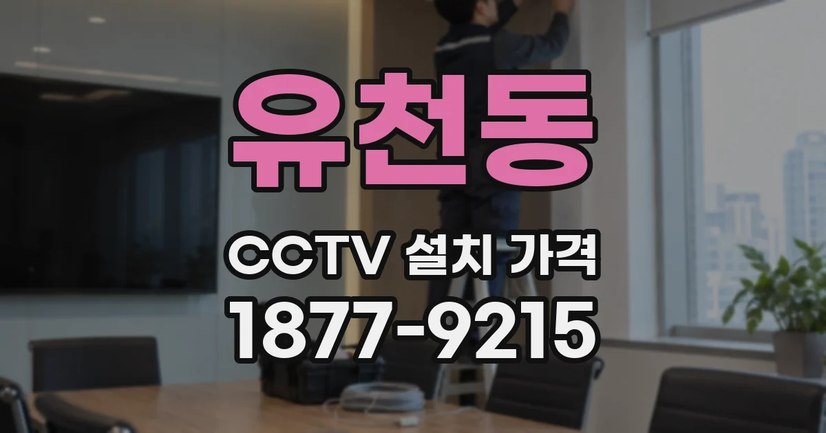 유천동 CCTV 설치 가격