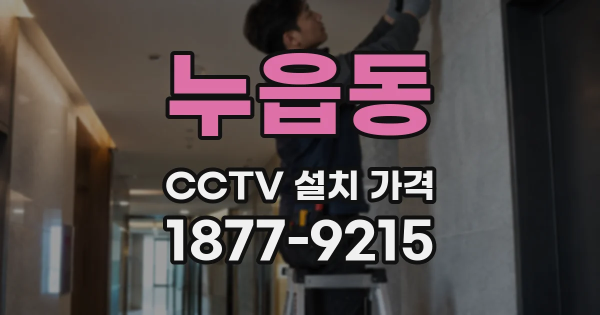 누읍동 CCTV 설치 가격