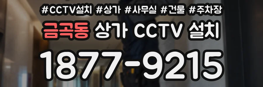 금곡동 상가 CCTV 설치