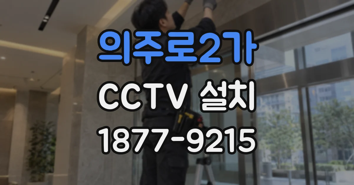 의주로2가 CCTV 설치