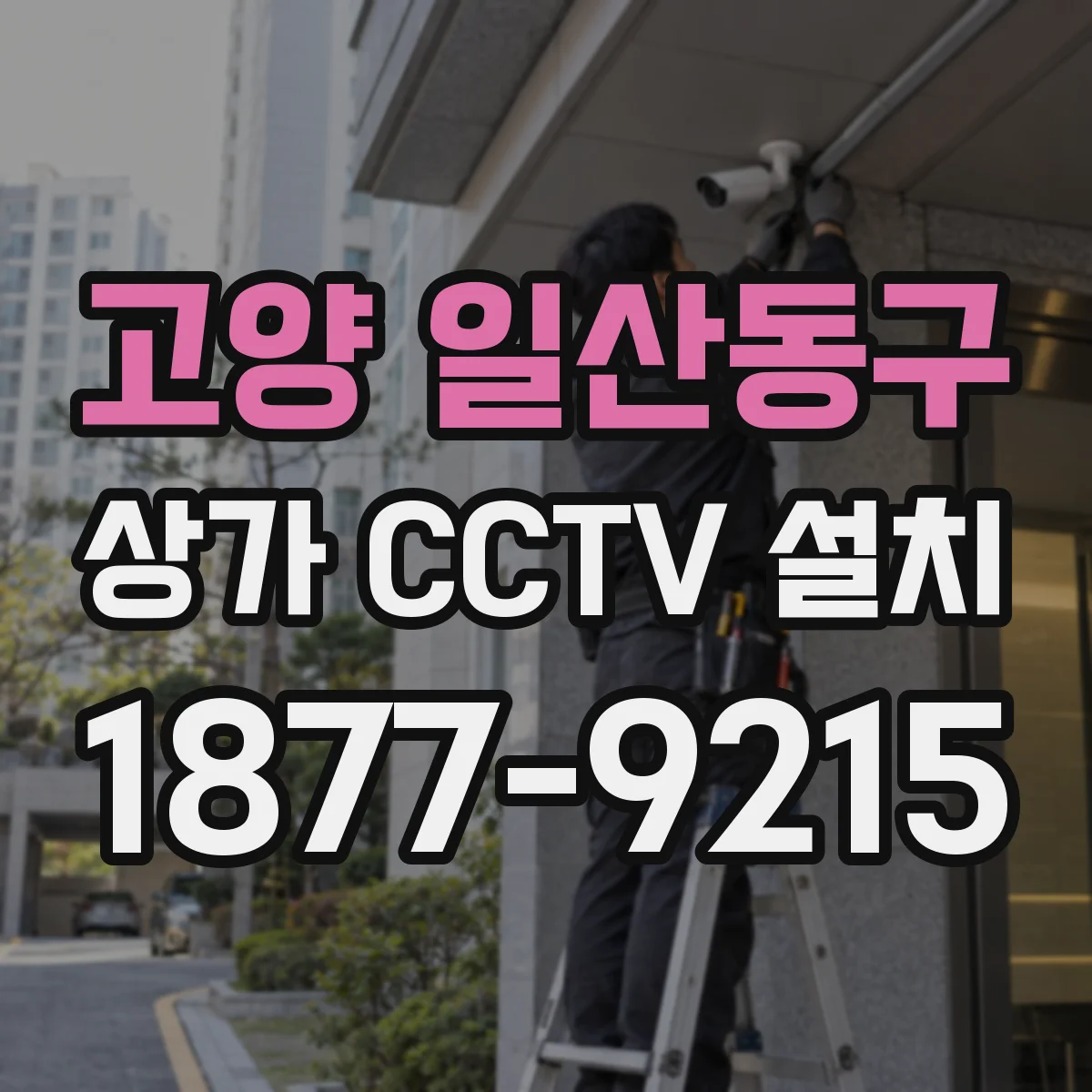 고양 일산동구 상가 CCTV 설치