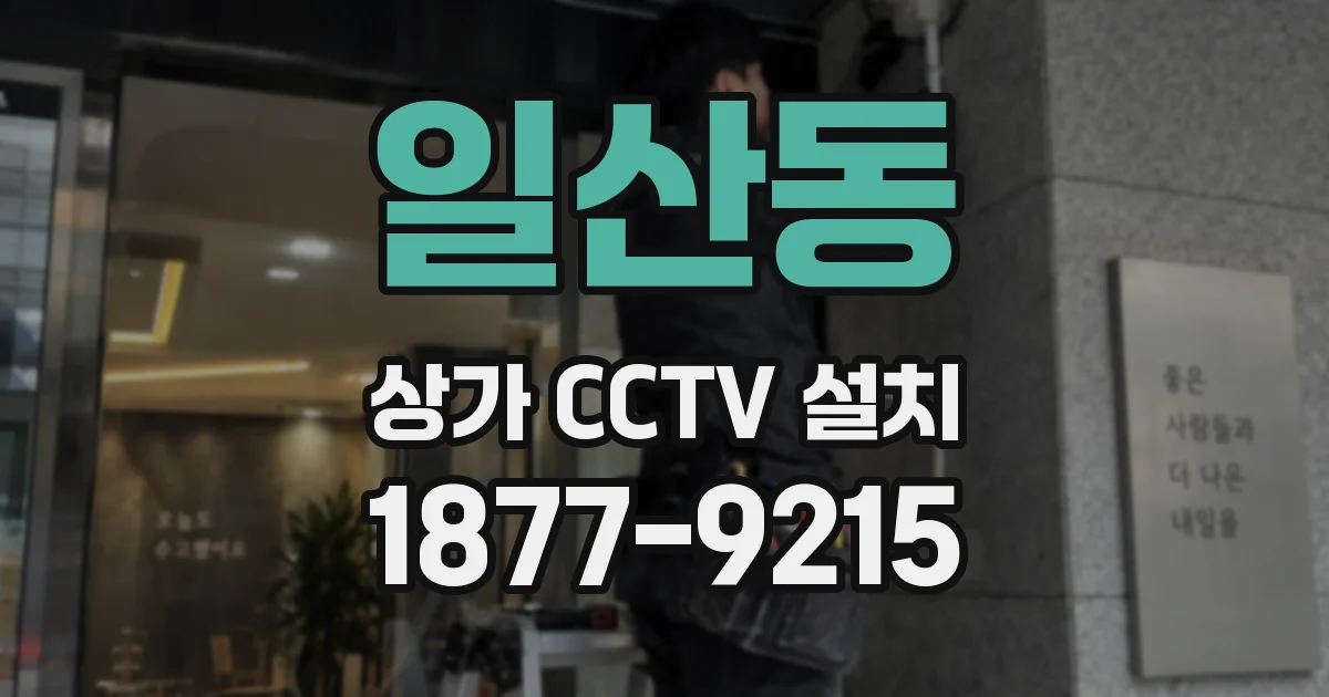 일산동 상가 CCTV 설치