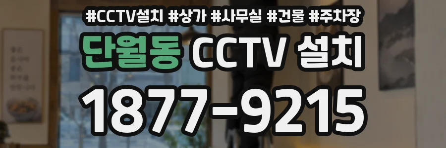 단월동 CCTV 설치