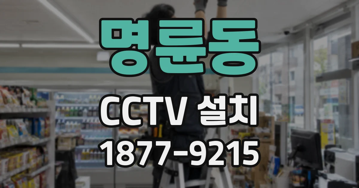 명륜동 CCTV 설치