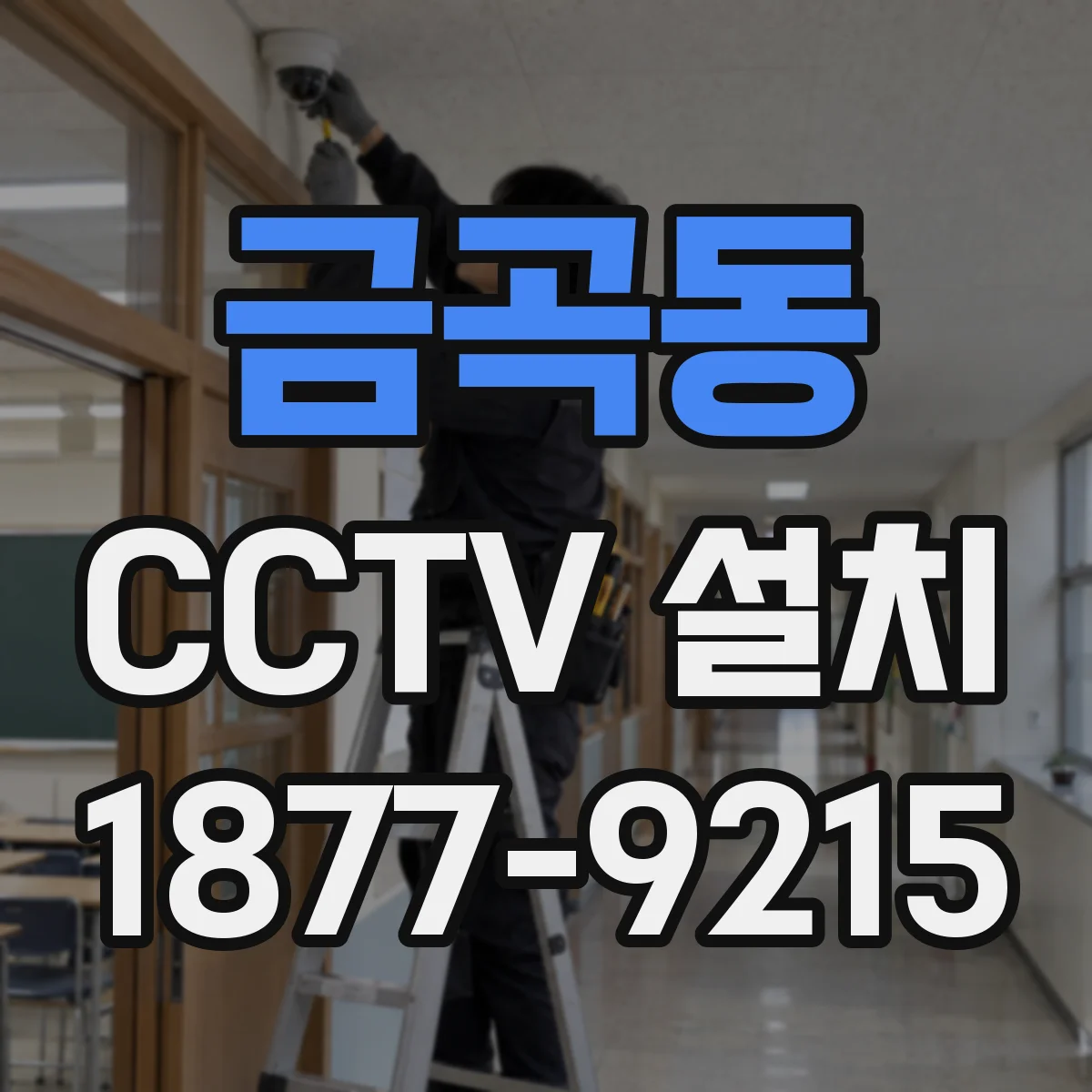 금곡동 CCTV 설치