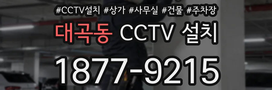 대곡동 CCTV 설치