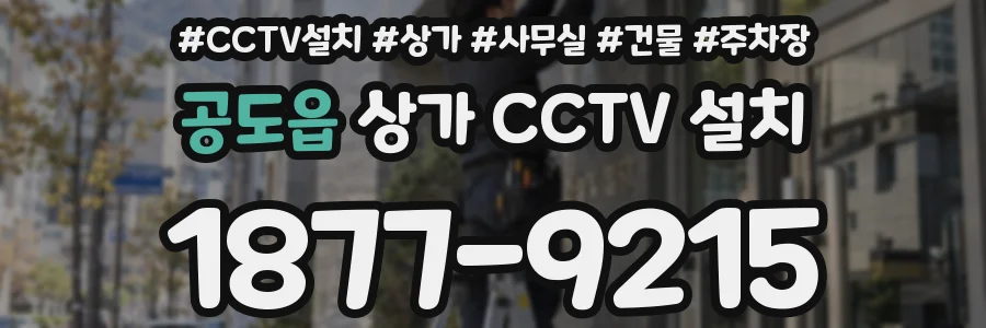 공도읍 상가 CCTV 설치