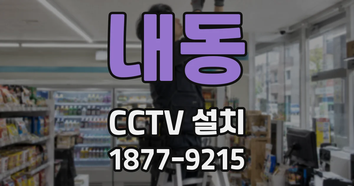 내동 CCTV 설치