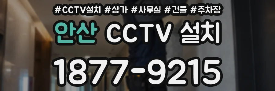 안산 CCTV 설치