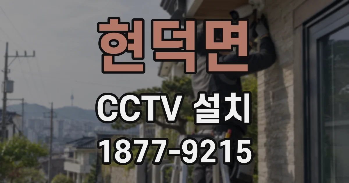 현덕면 CCTV 설치