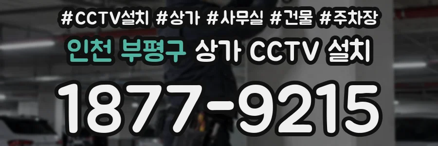 인천 부평구 상가 CCTV 설치