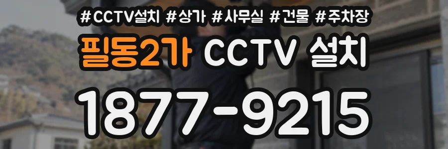 필동2가 CCTV 설치