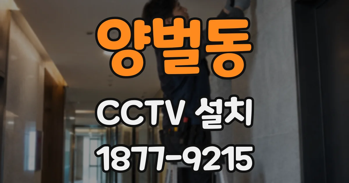양벌동 CCTV 설치