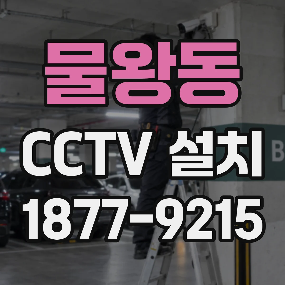 물왕동 CCTV 설치
