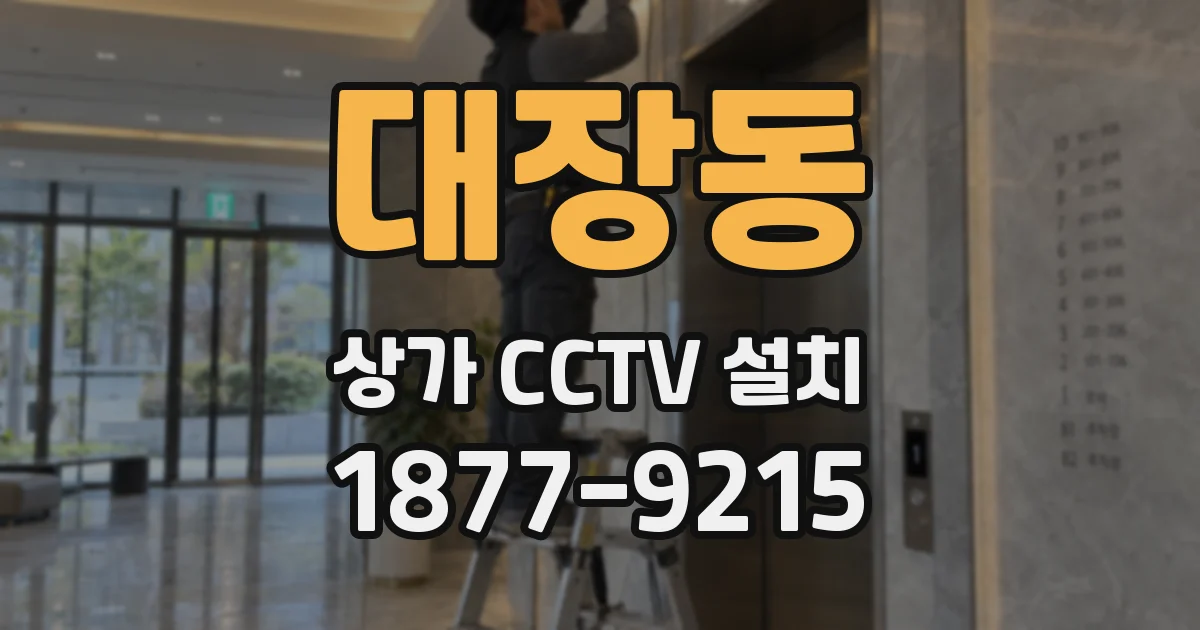 대장동 상가 CCTV 설치