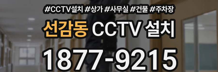 선감동 CCTV 설치