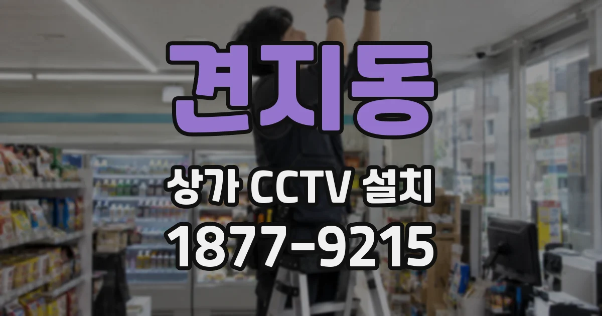 견지동 상가 CCTV 설치