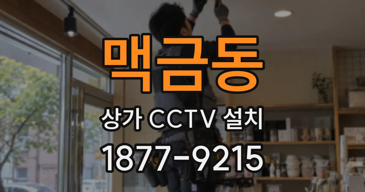 맥금동 상가 CCTV 설치