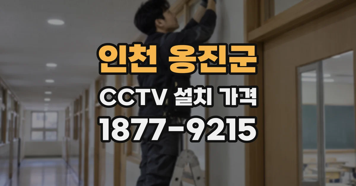 인천 옹진군 CCTV 설치 가격