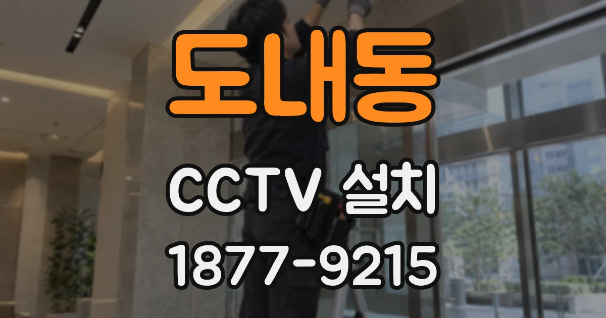 도내동 CCTV 설치