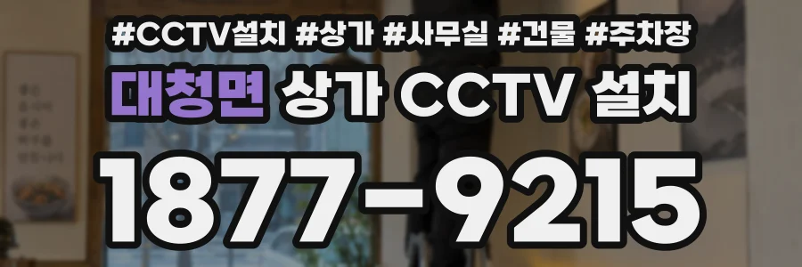 대청면 상가 CCTV 설치