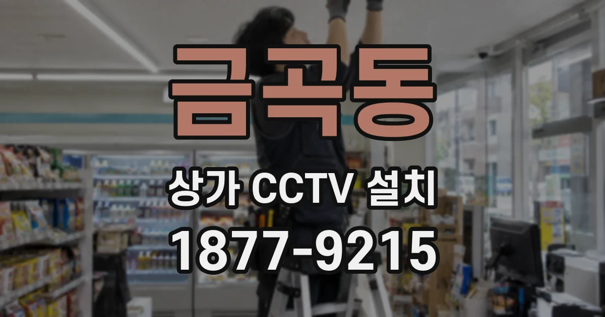 금곡동 상가 CCTV 설치