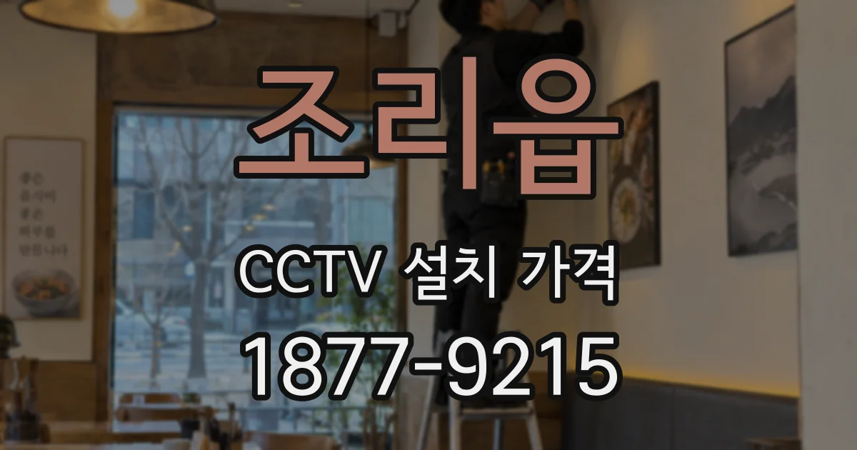 조리읍 CCTV 설치 가격