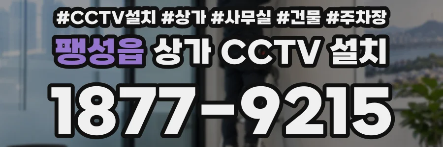 팽성읍 상가 CCTV 설치