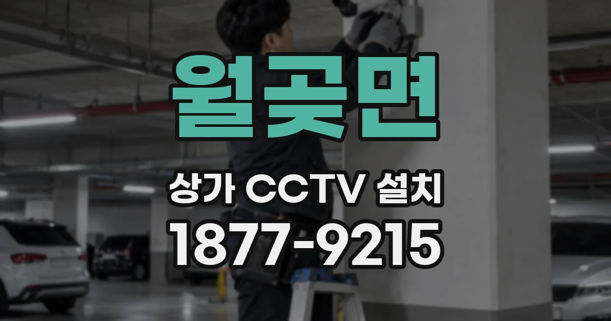 월곶면 상가 CCTV 설치