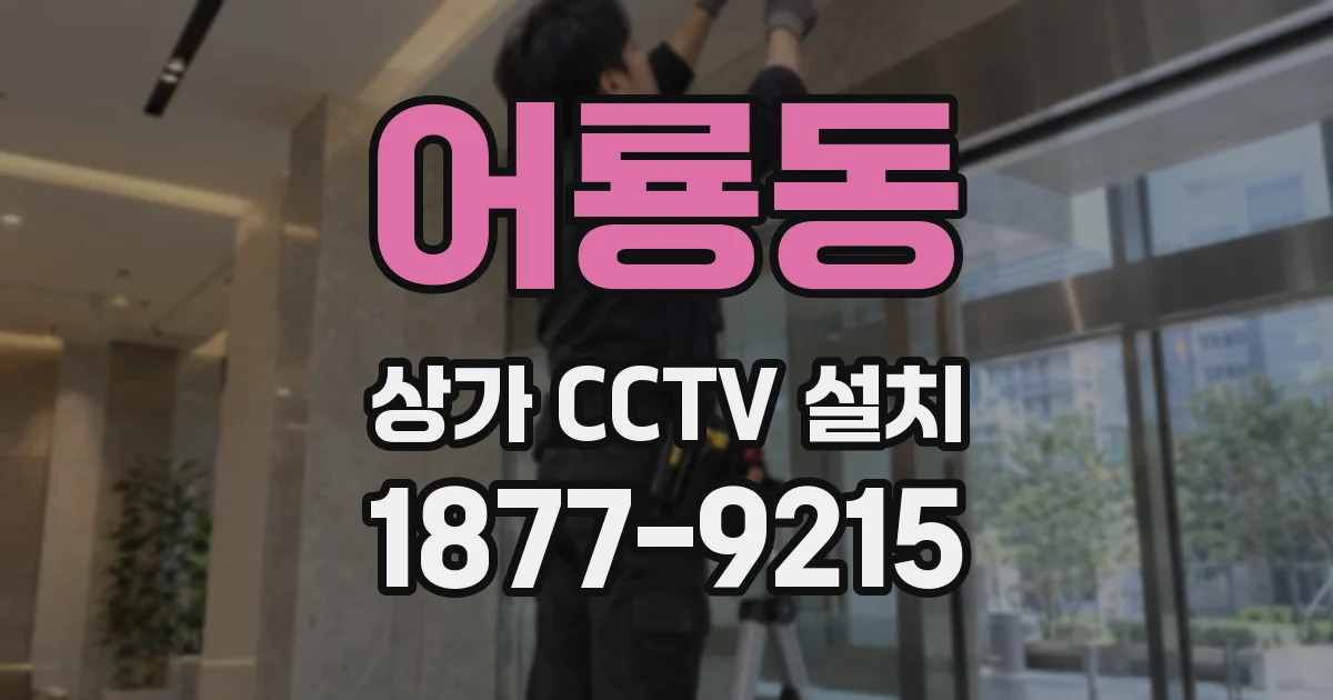 어룡동 상가 CCTV 설치