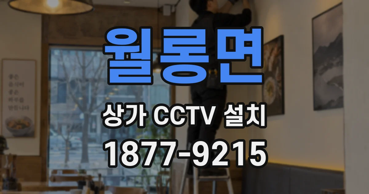 월롱면 상가 CCTV 설치