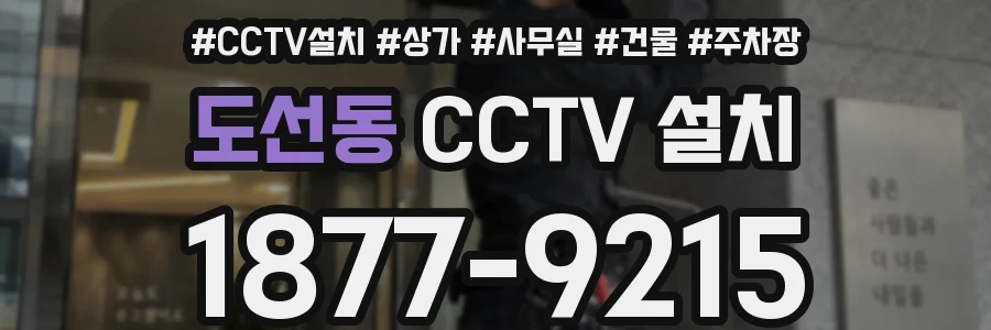 도선동 CCTV 설치