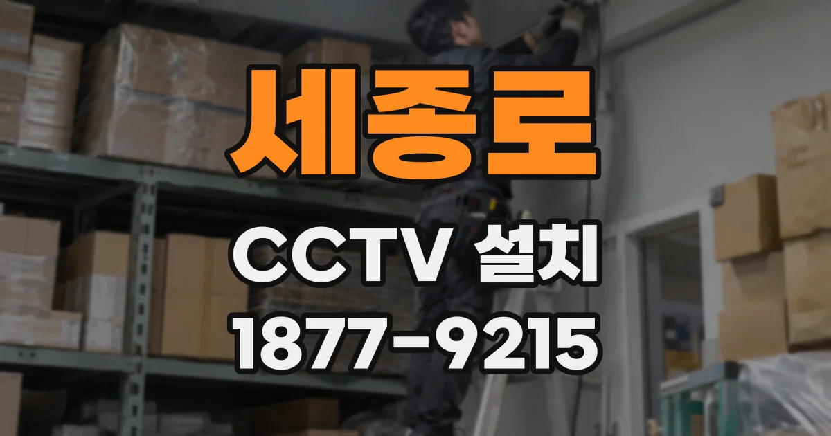 세종로 CCTV 설치