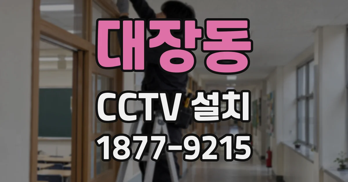 대장동 CCTV 설치