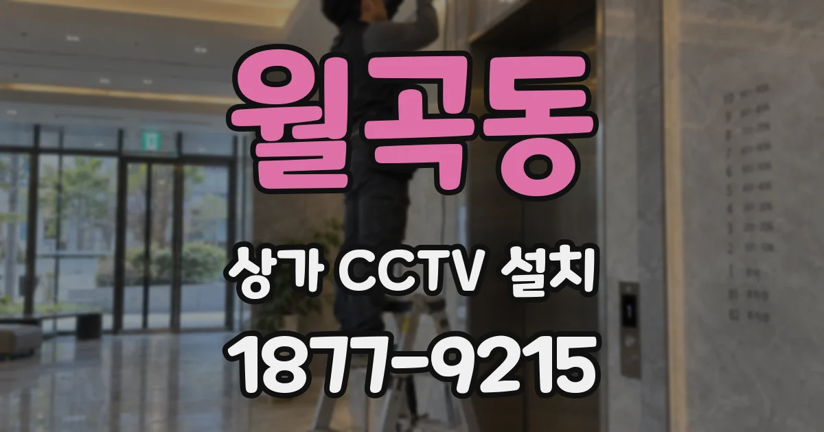 월곡동 상가 CCTV 설치