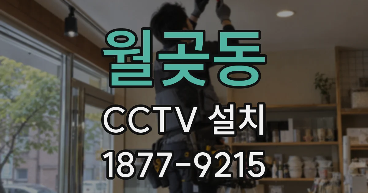 월곶동 CCTV 설치