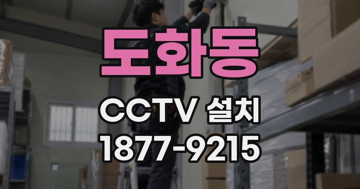 도화동 CCTV 설치