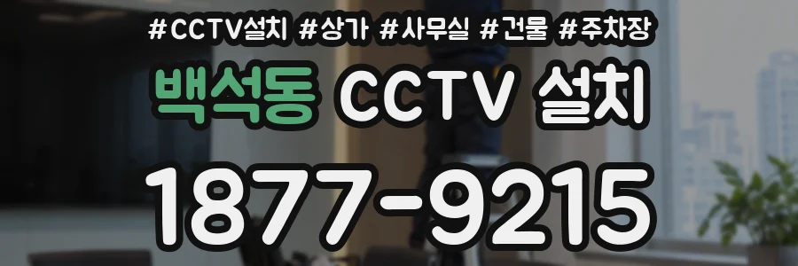 백석동 CCTV 설치
