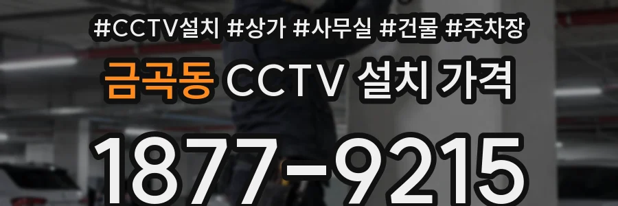 금곡동 CCTV 설치 가격
