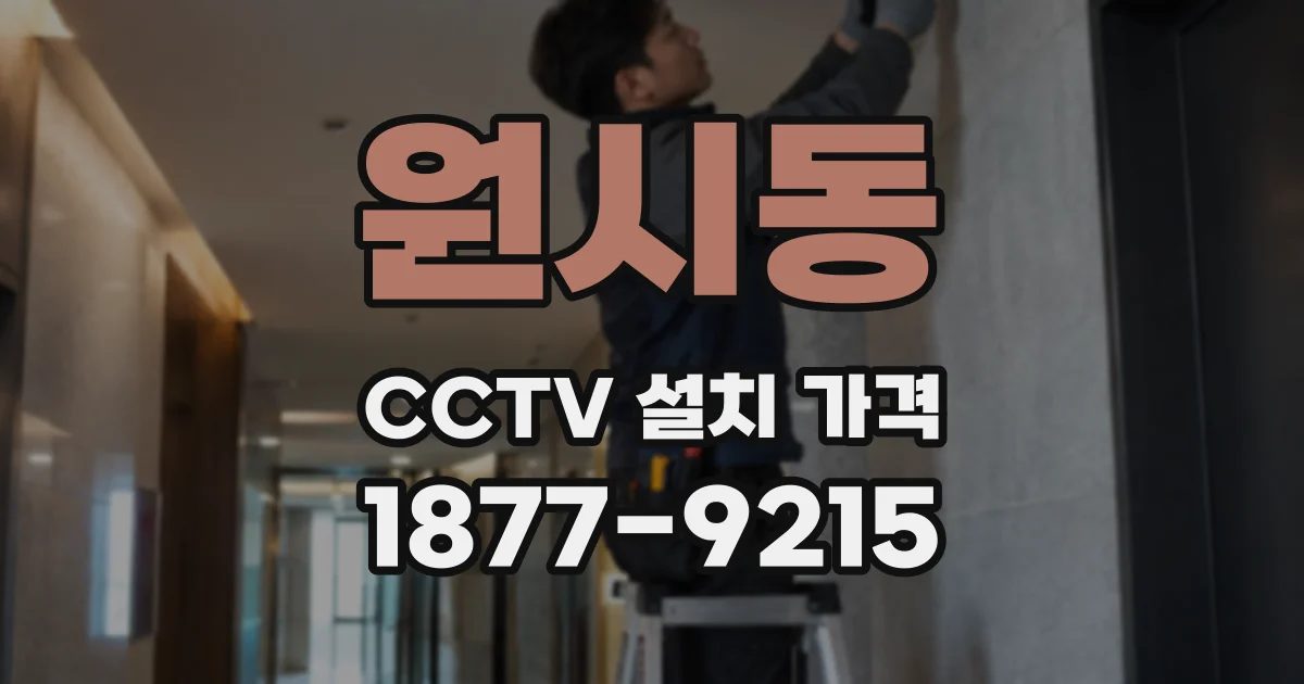 원시동 CCTV 설치 가격