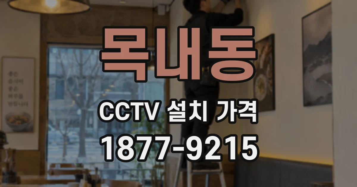목내동 CCTV 설치 가격