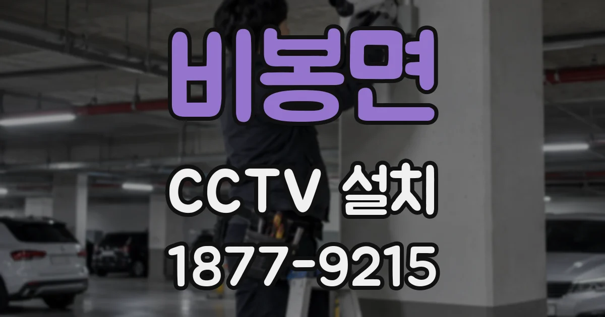 비봉면 CCTV 설치