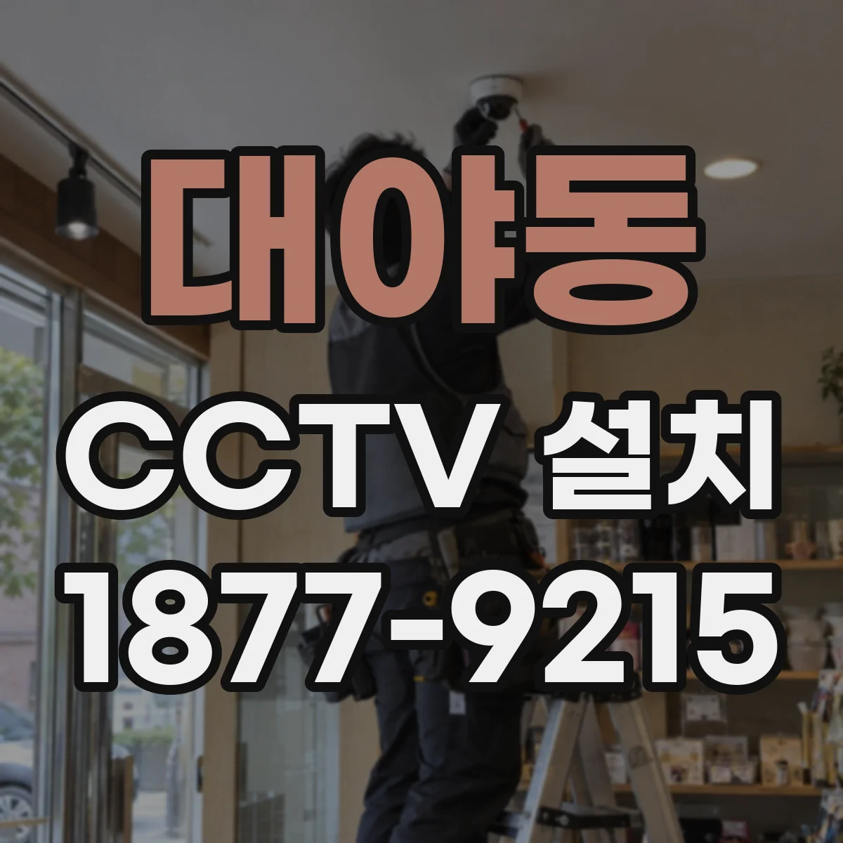 대야동 CCTV 설치