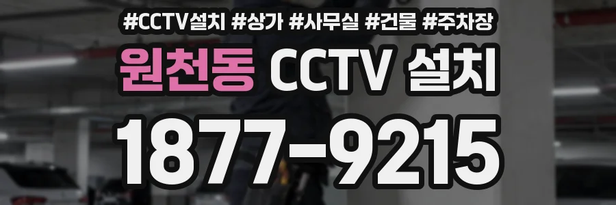 원천동 CCTV 설치