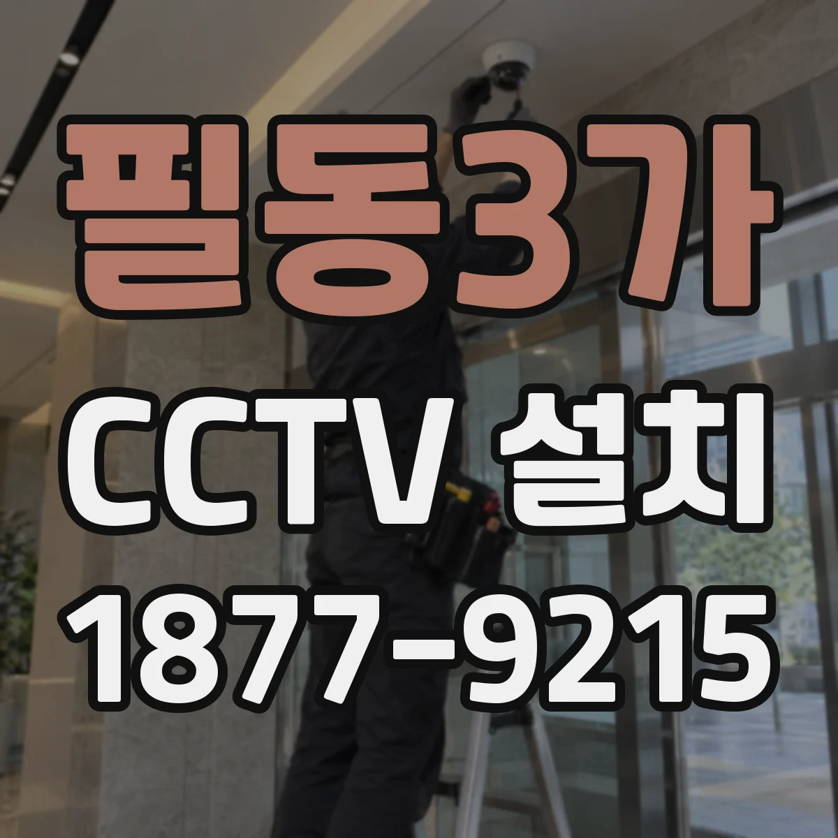 필동3가 CCTV 설치