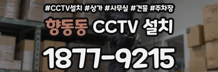 향동동 CCTV 설치