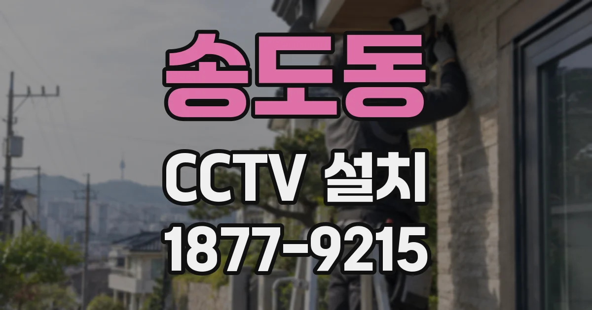송도동 CCTV 설치