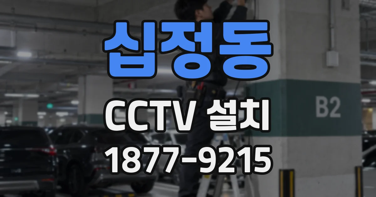 십정동 CCTV 설치